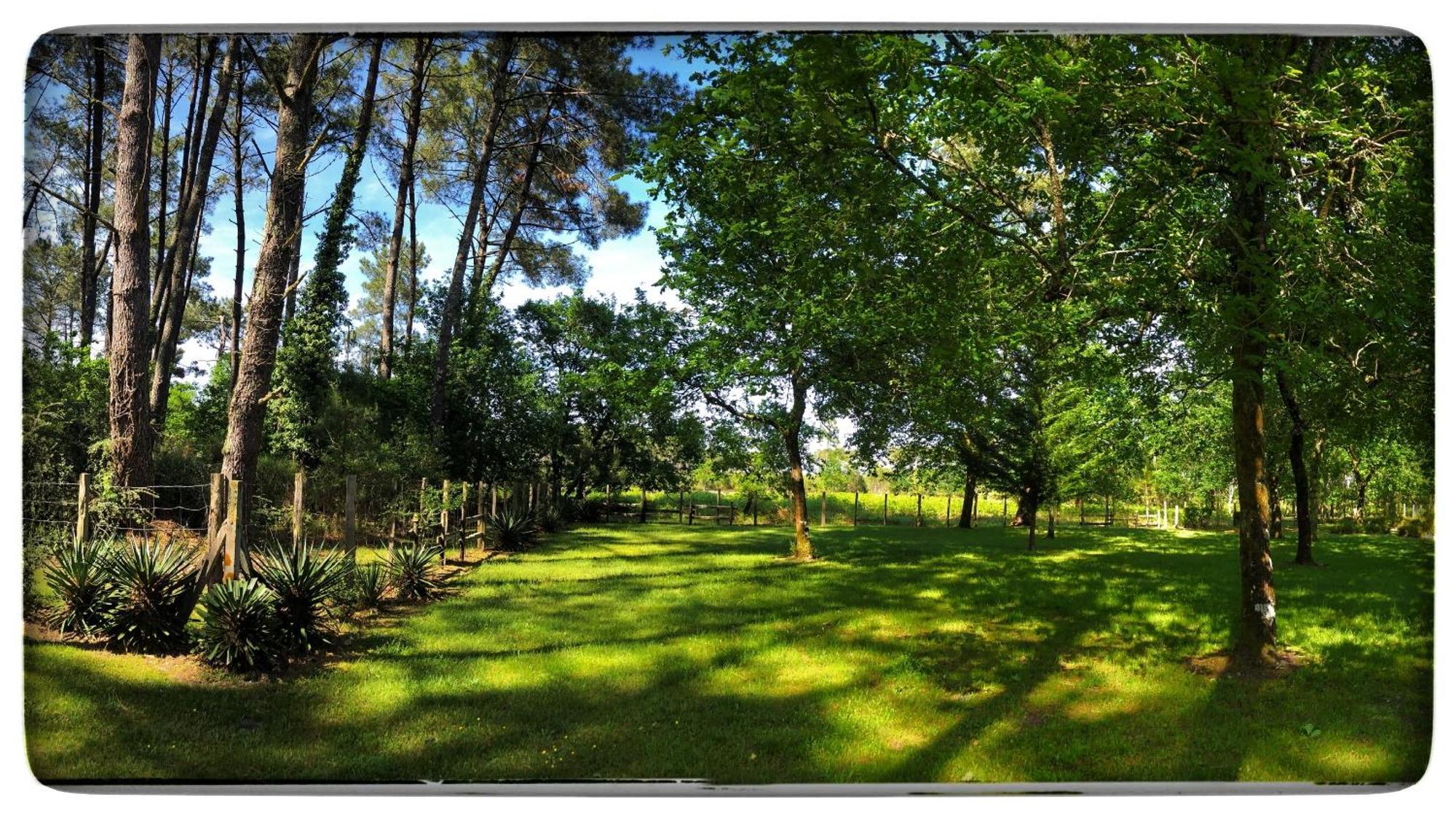 Hotel Au Clair Des Landes à Castets Extérieur photo